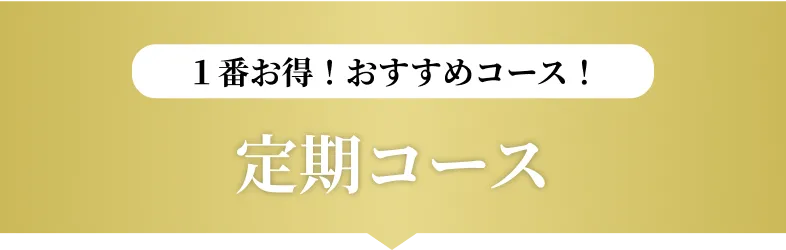 １番お得！おすすめコース！定期コース